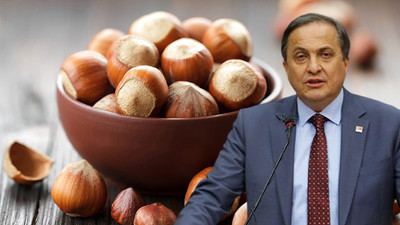 CHP Genel Başkan Yardımcısı Torun: Fındık fiyatı bu yıl en az 35 TL olarak açıklanmalıdır