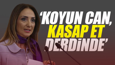 CHP'li Nazlıaka: Erdoğan, orman arazilerinin turizm yatırımcılarına açılmasına yol verdi