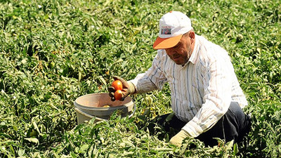 Çiftçilerin isyanı Tarım Kredi’ye tüm yorumları kapattırdı