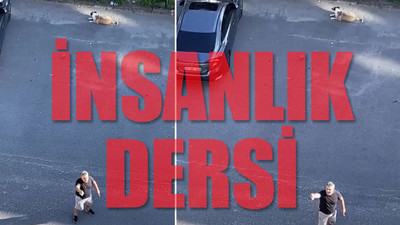 Daire 16'da oturan İbrahim Kaya'nın 'sokak hayvanları' isyanı sosyal medyayı salladı