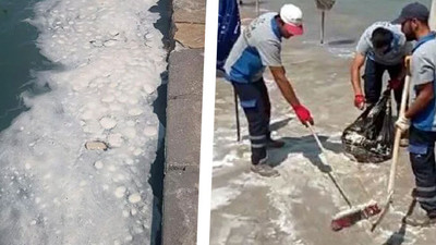 Datça sahilinde korkutan görüntü