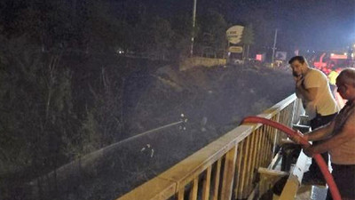 Diyarbakır Kent Ormanı girişindeki otları yaktıkları iddia edilen 4 çocuk tutuklandı