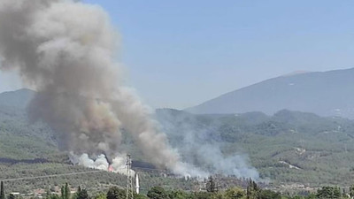 Dörtyol’da orman yangını