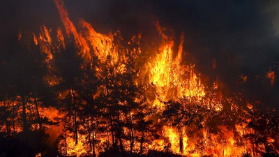Erdoğan'dan orman yangınlarına ilişkin açıklama