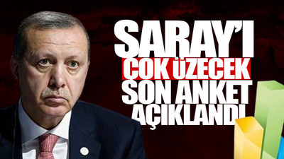 Erdoğan dibi gördü!