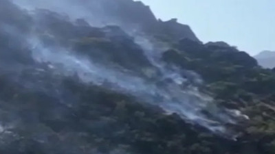 Hakkari'de orman yangını