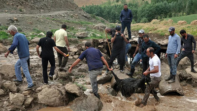 Hakkari’de sel sularına kapılan yaklaşık 500 koyun hayatını kaybetti
