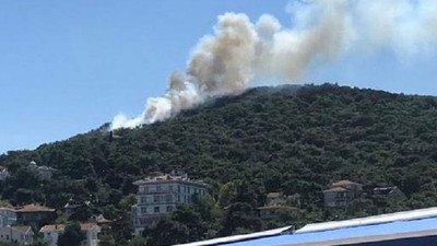 Heybeliada'da orman yangını: Kontrol altına alındı