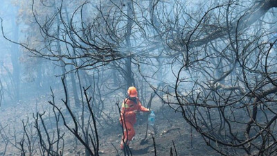 Heybeliada yangınının verdiği zarar belli oldu