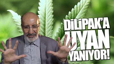 Hint keneviri yetiştiren ODTÜ öğretim görevlisi tutuklandı