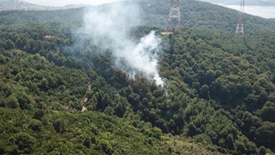 İstanbul'da orman yangını