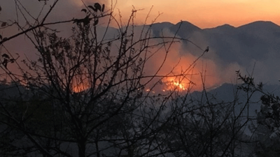 İstanbul’da orman yangını