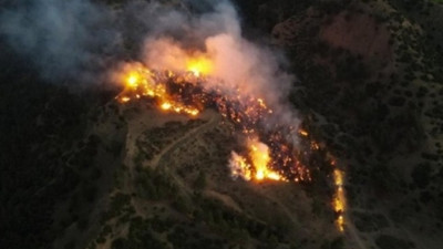 Manisa'da çıkan orman yangınında 10 dönüm alan zarar gördü