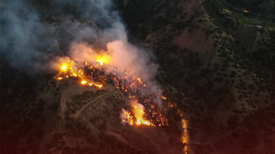 Manisa Salihli'de orman yangını