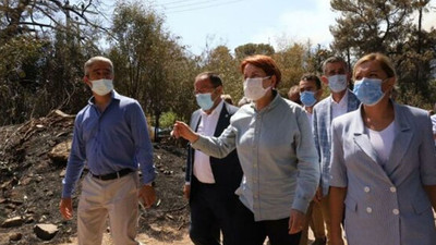 Meral Akşener afet bölgesinde: Orman kundaklama terör suçu sayılsın