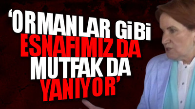 Meral Akşener'den ‘yangın varken geziyorsunuz’ tepkisine çarpıcı yanıt