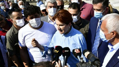 Meral Akşener’den Bozkurt çağrısı