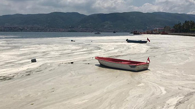 Milyonluk müsilaj vurgunu ortaya çıktı... İhale AKP'li ismin şirketine
