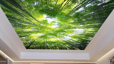 Modern Gergi Tavan Modelleri