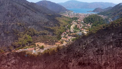 Muğla'da kaç hektar alan yandı? Belediye acı tabloyu açıkladı...