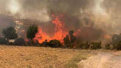 Muğla Valiliği yangınlara karşı  yeni önlemleri açıkladı 