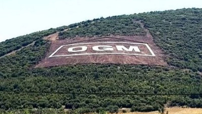 Orman Genel Müdürlüğü'nün, envanter bile çıkarmadığı ortaya çıktı