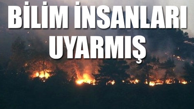 Orman yangınları ile ilgili dikkat çeken rapor