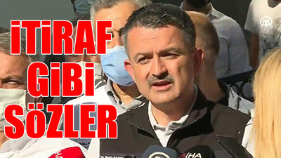 Orman yangınları skandalı ortaya çıkardı