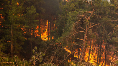 Orman yangınlarında 8'inci gün: 6 ilde, 11 yangın sürüyor