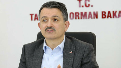 Pakdemirli: Köyceğiz’de yangın vadiye hapsolmuş şekilde devam ediyor ama...