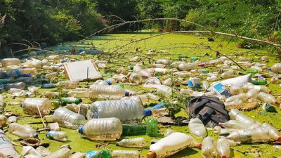 ‘Pes’ dedirten görüntüler