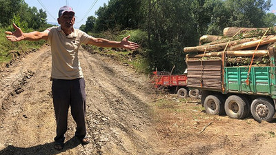 Sakarya'da köylüler ağaç kesimini engelledi: Ormanlar yanıyor, bunlar gelip ağaç kesiyor