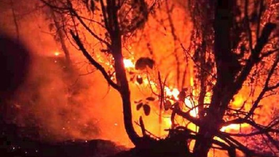 Samsun'da orman yangını