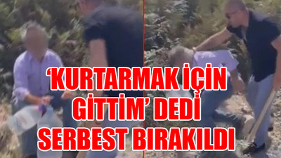 Servis şoförü İstanbul'da eşeğe tecavüz ederken yakalandı