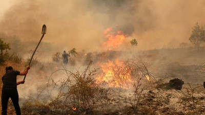 Tarım ve Orman Bakanlığı: Siviller gelişigüzel biçimde yangına müdahale etmesin