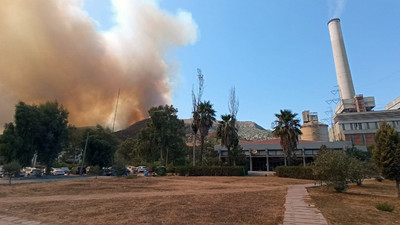 Termik santral çalışanı: Orman, santral için feda edildi