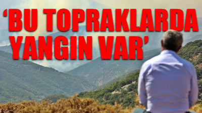 Tunceli Belediye Başkanı Maçoğlu: Gerekli müdahale yapılmıyor, bölgeye gitmek istedik, Kaymakam üzerimize yürüdü
