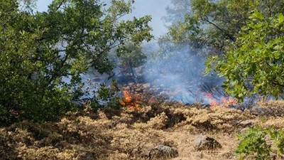 Tunceli ve Bingöl'de orman yangını