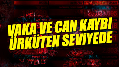 Türkiye'nin güncel koronavirüs tablosu açıklandı 