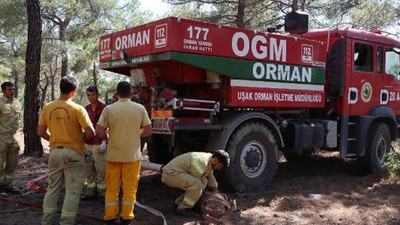 Uşak'ta orman yangını