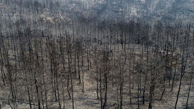 Yanan alanlar için kahreden açıklama