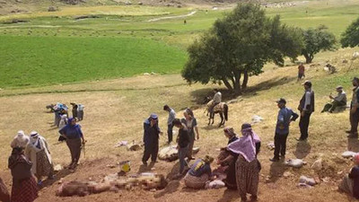 Yüksekova'da yıldırım isabet eden 30 koyun öldü 