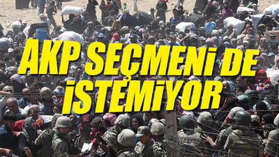 Yurttaş, mülteci konusunda ne düşünüyor? En ayrıntılı anket... 