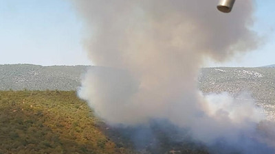 Muğla'da iki ilçede orman yangını: Çok sayıda ekip sevk edildi