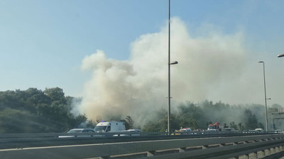 Altunizade'de ağaçlık alanda yangın
