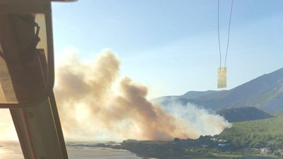 Aydın'da ormanlık alanda yangın