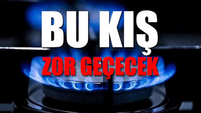 BOTAŞ Eski Müdürü'nden doğal gaz açıklaması: Yüzde 30'u bulacak