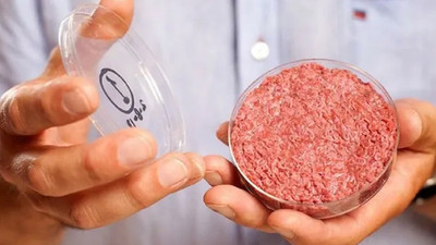 Diyanet'ten 'yapay et' açıklaması 