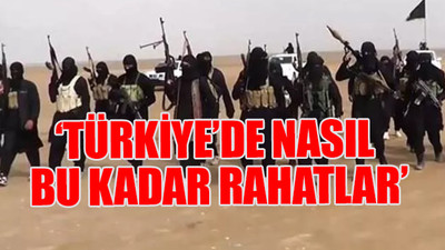 IŞİD'li teröristler hakkında korkutan iddialar