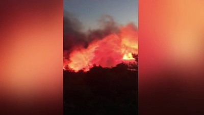 İzmir'de ormanlık alanda yangın çıktı